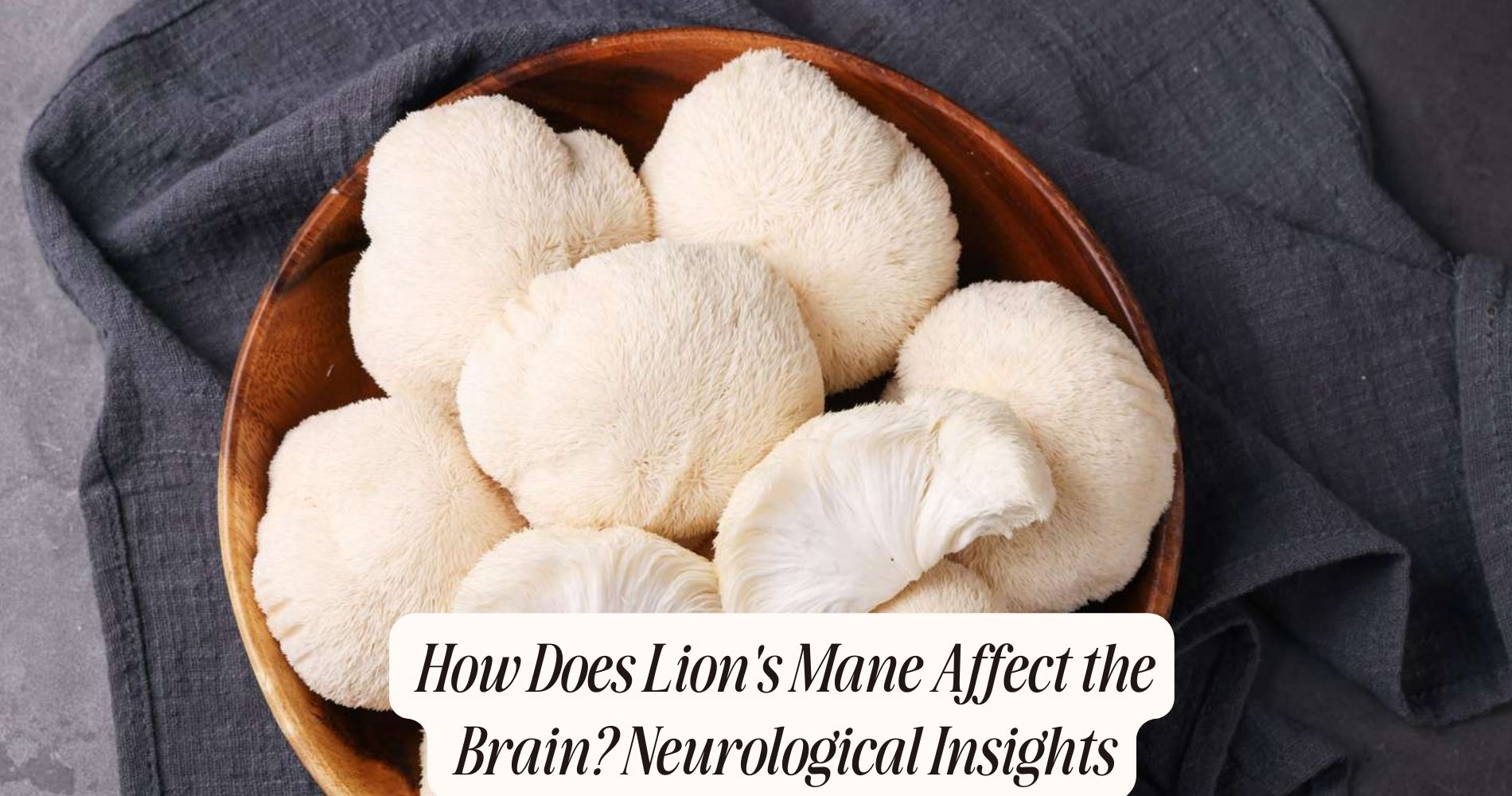 how does lion's mane affect the brain