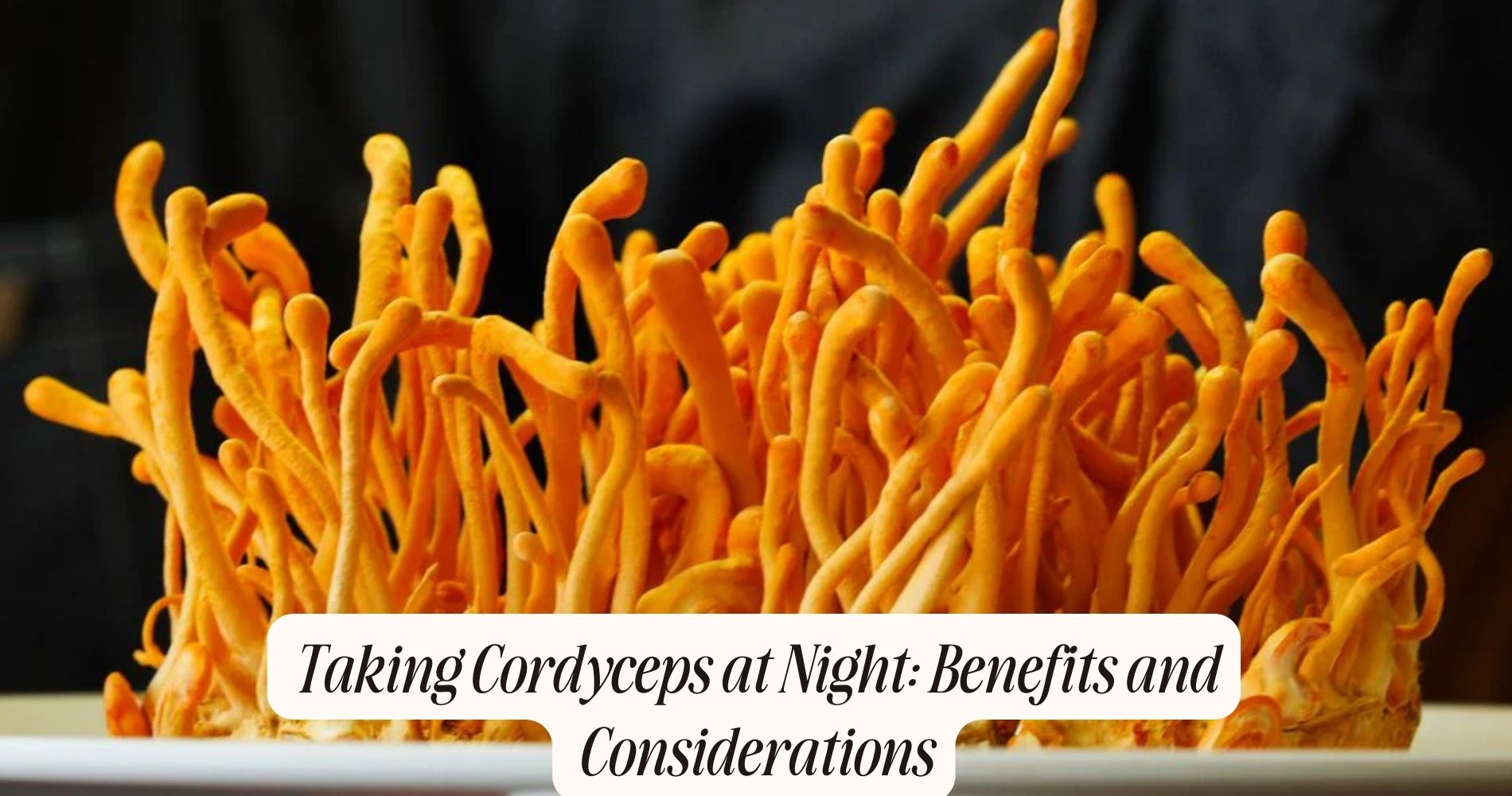 can you take cordyceps at night
