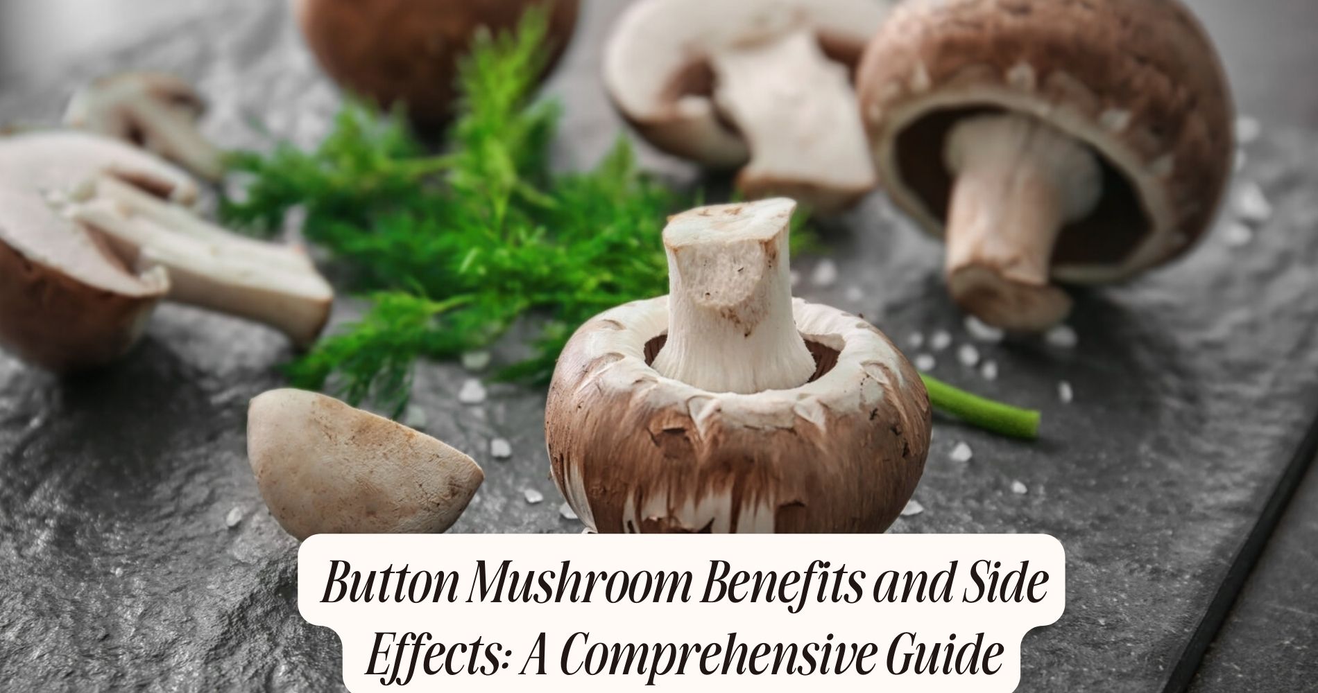 button mushroom benefits and side effects