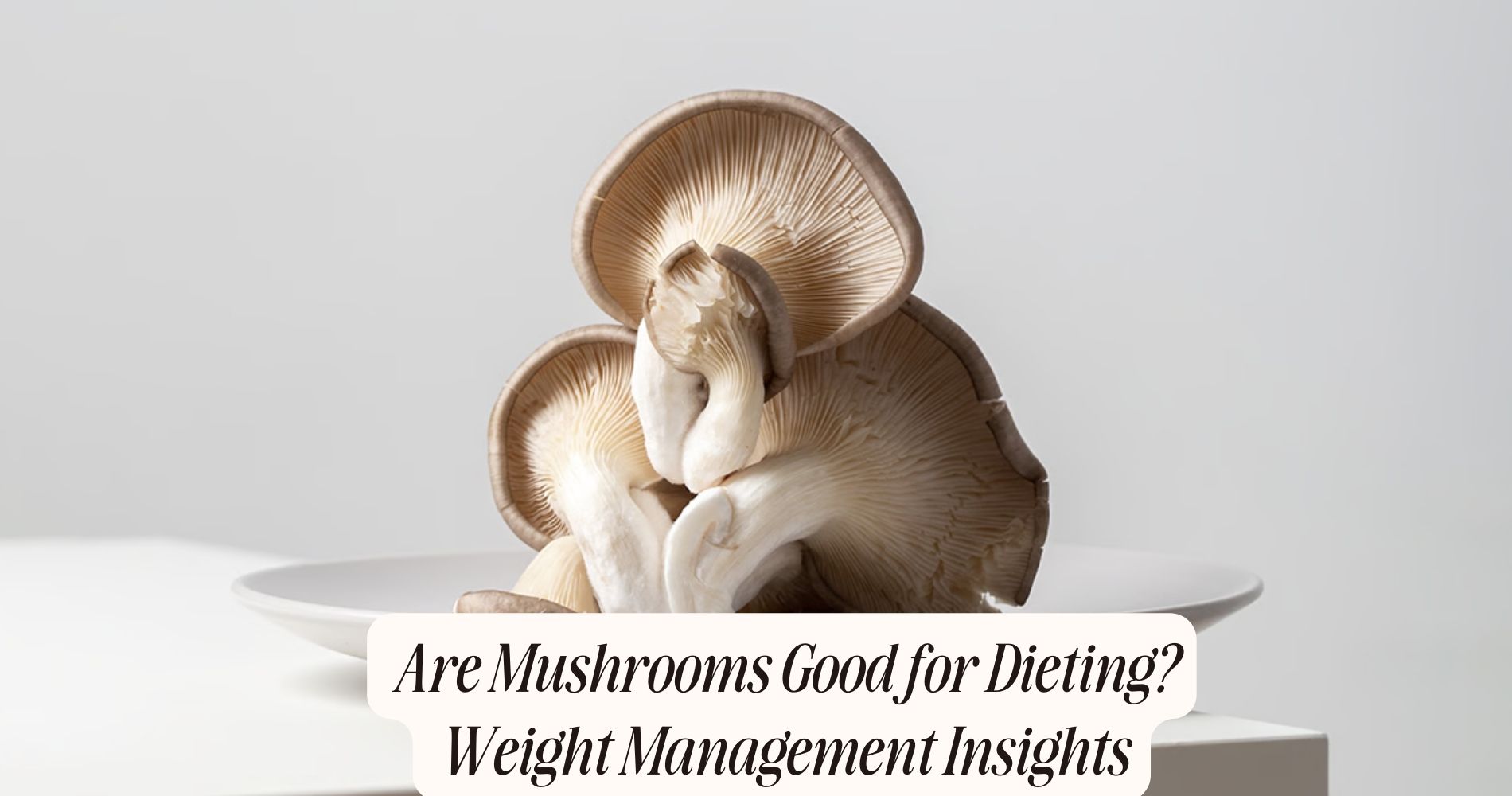 are mushrooms good for dieting