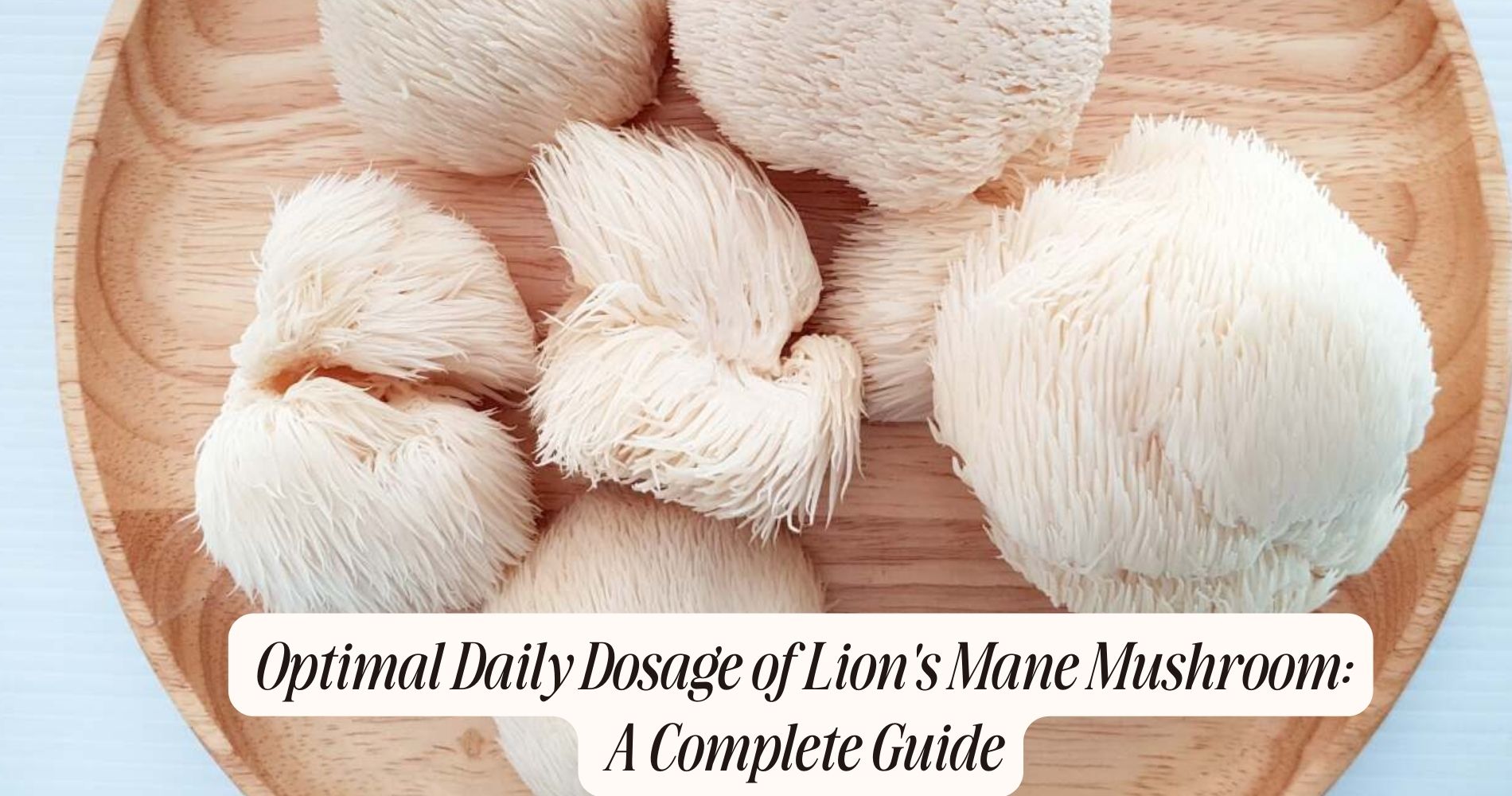 lion's mane dosage per day