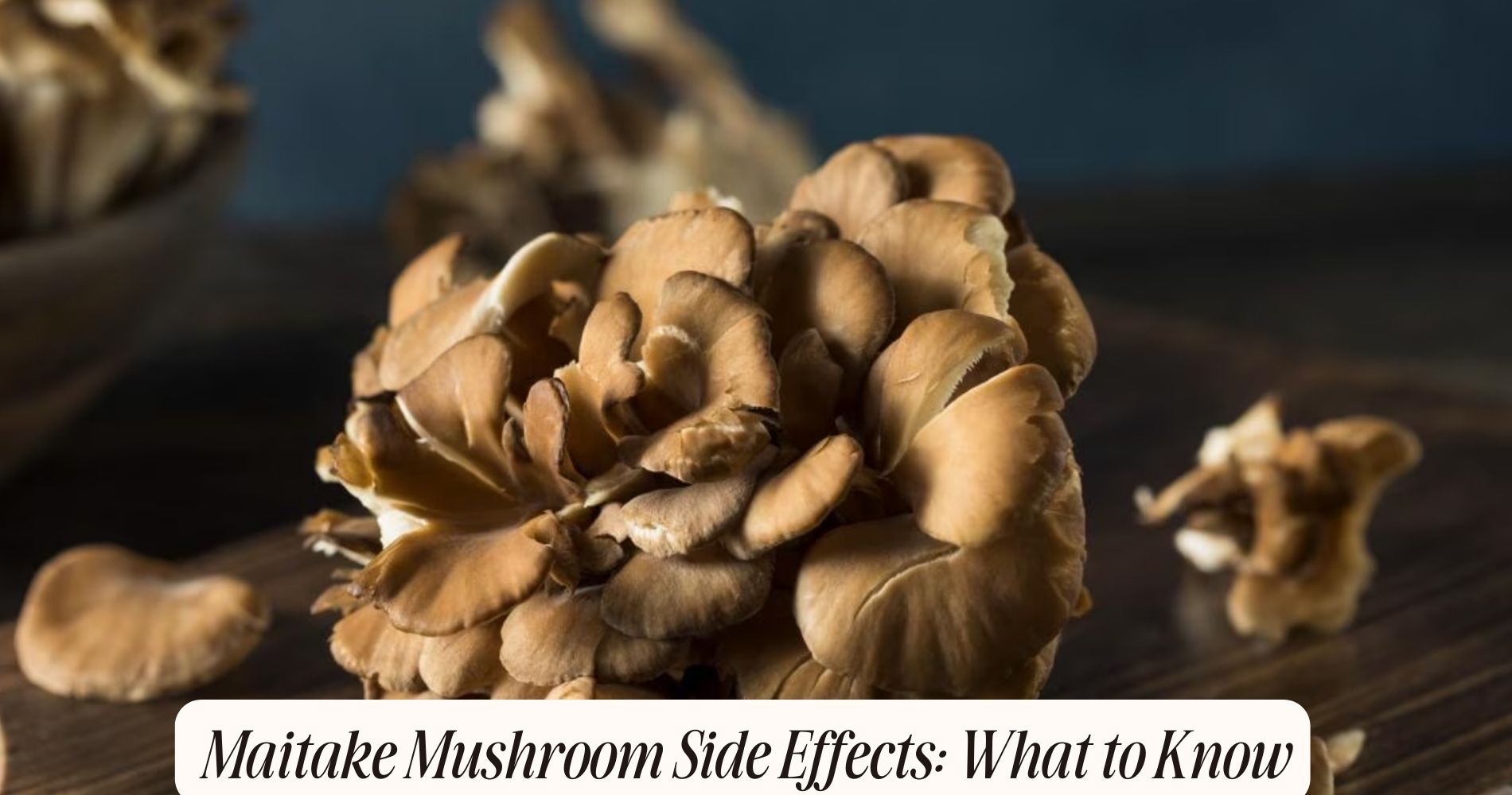 maitake mushroom side effects