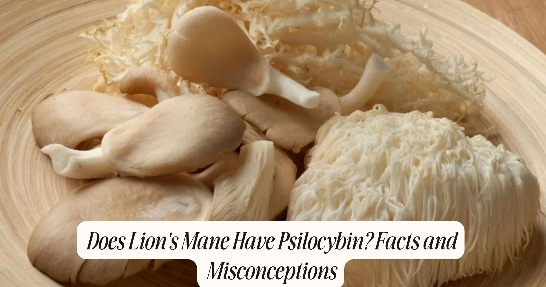 does lion's mane have psilocybin