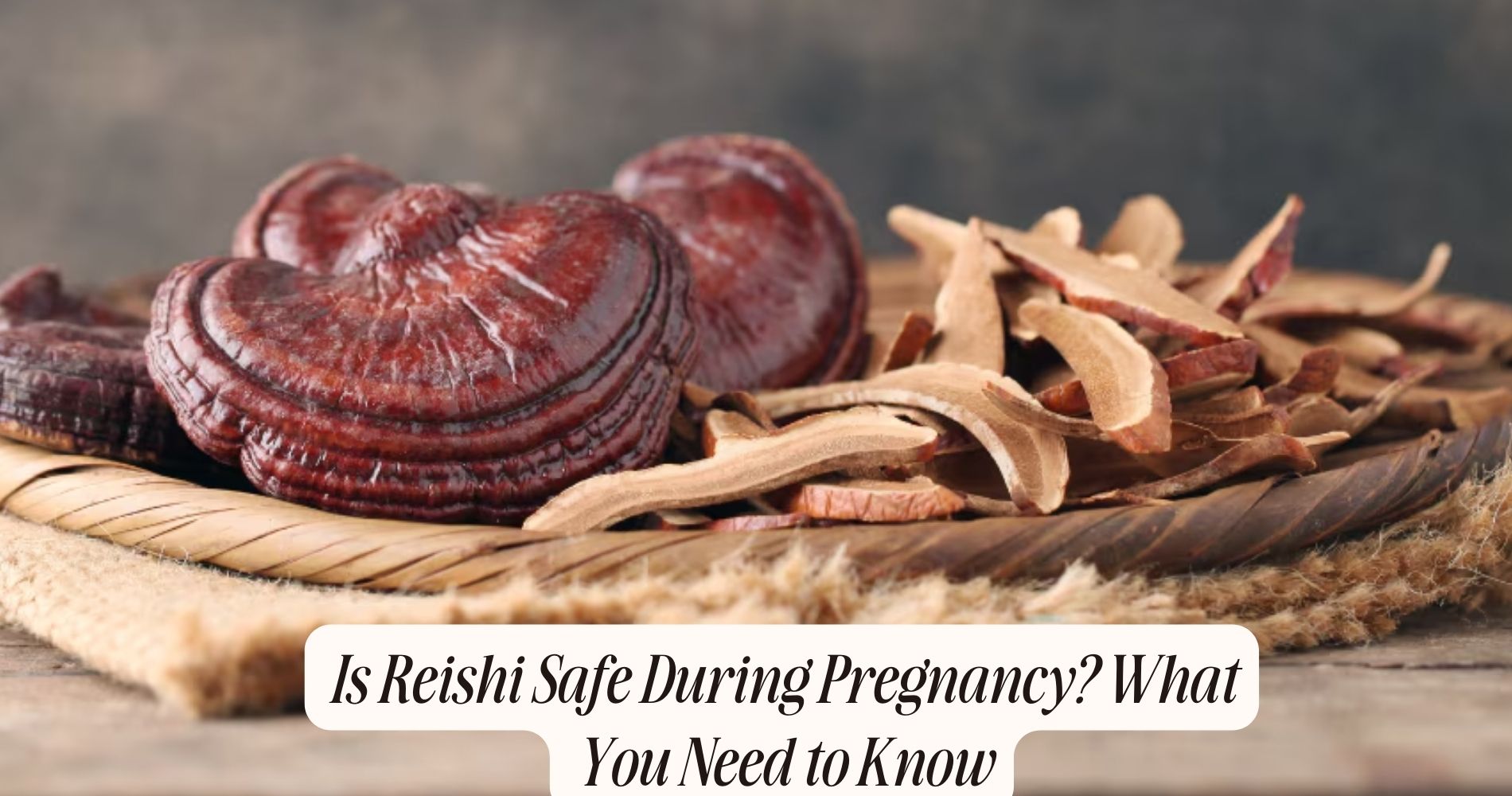 is reishi safe during pregnancy