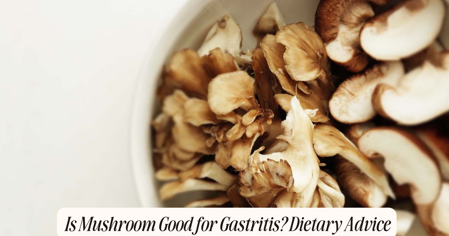 is mushroom good for gastritis