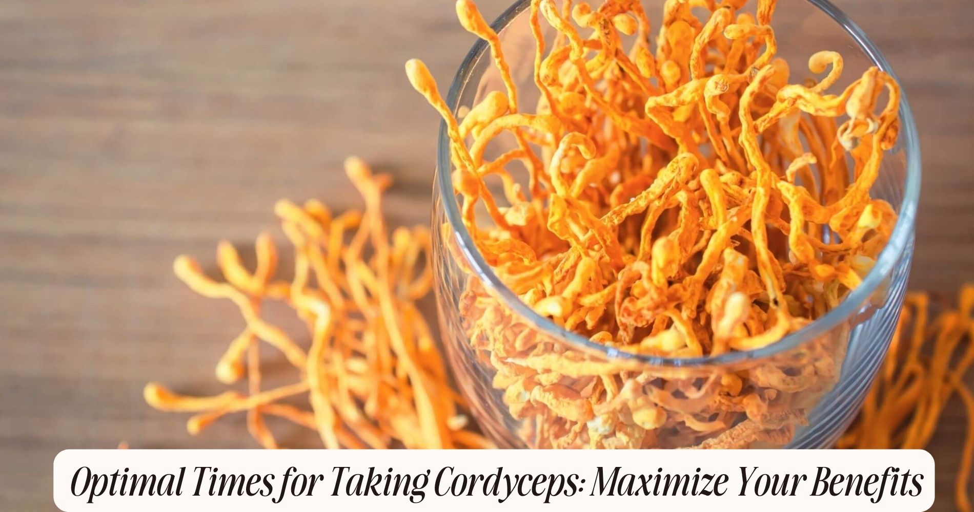best time to take cordyceps