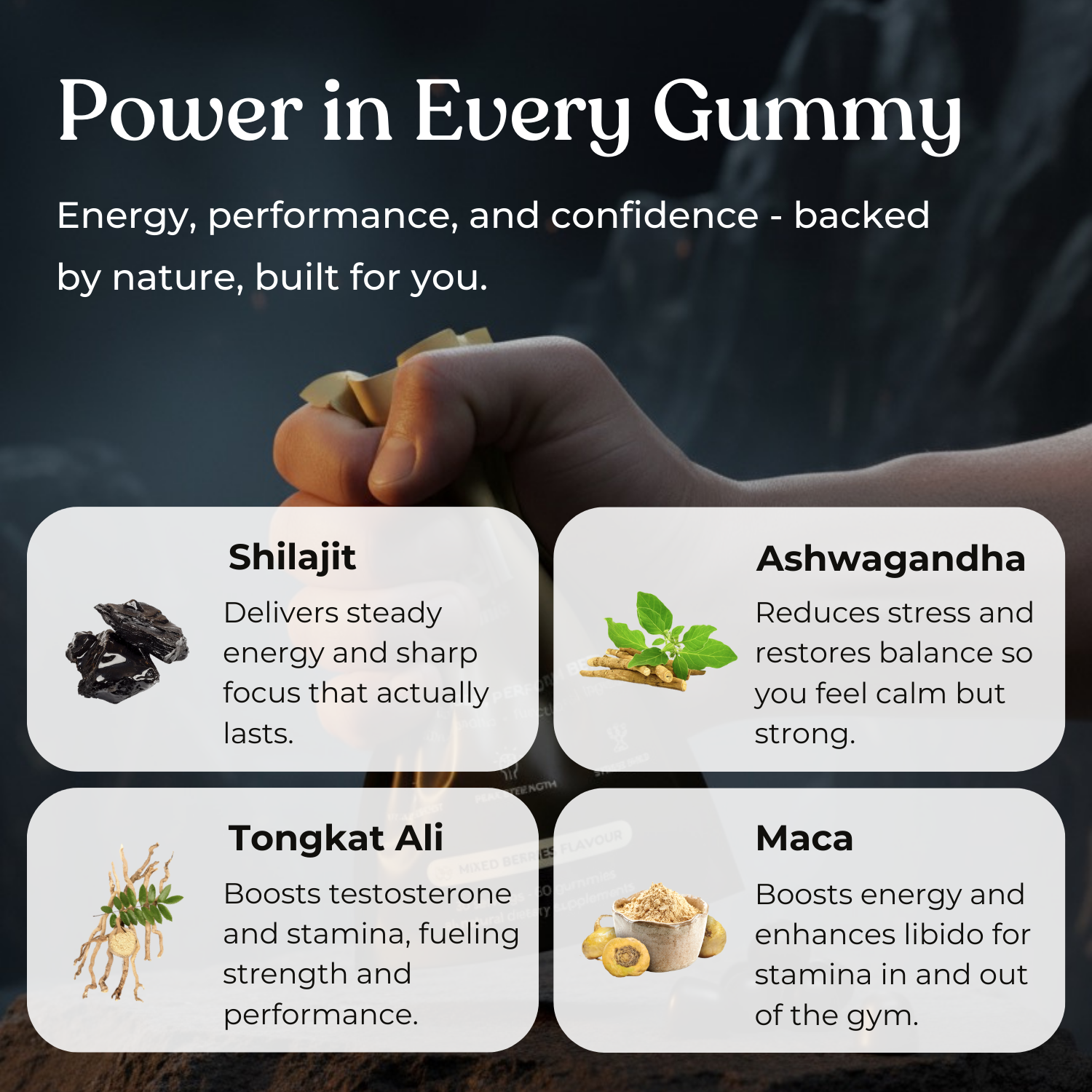 SHILAJIT GUMMIES