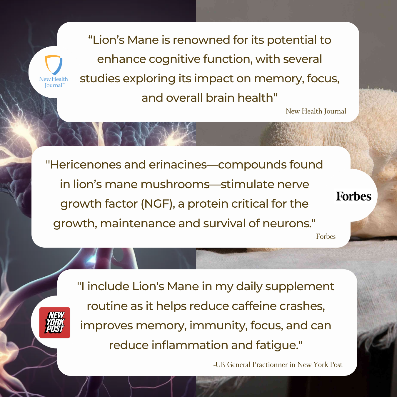 LION'S MANE FOCUS GUMMIES