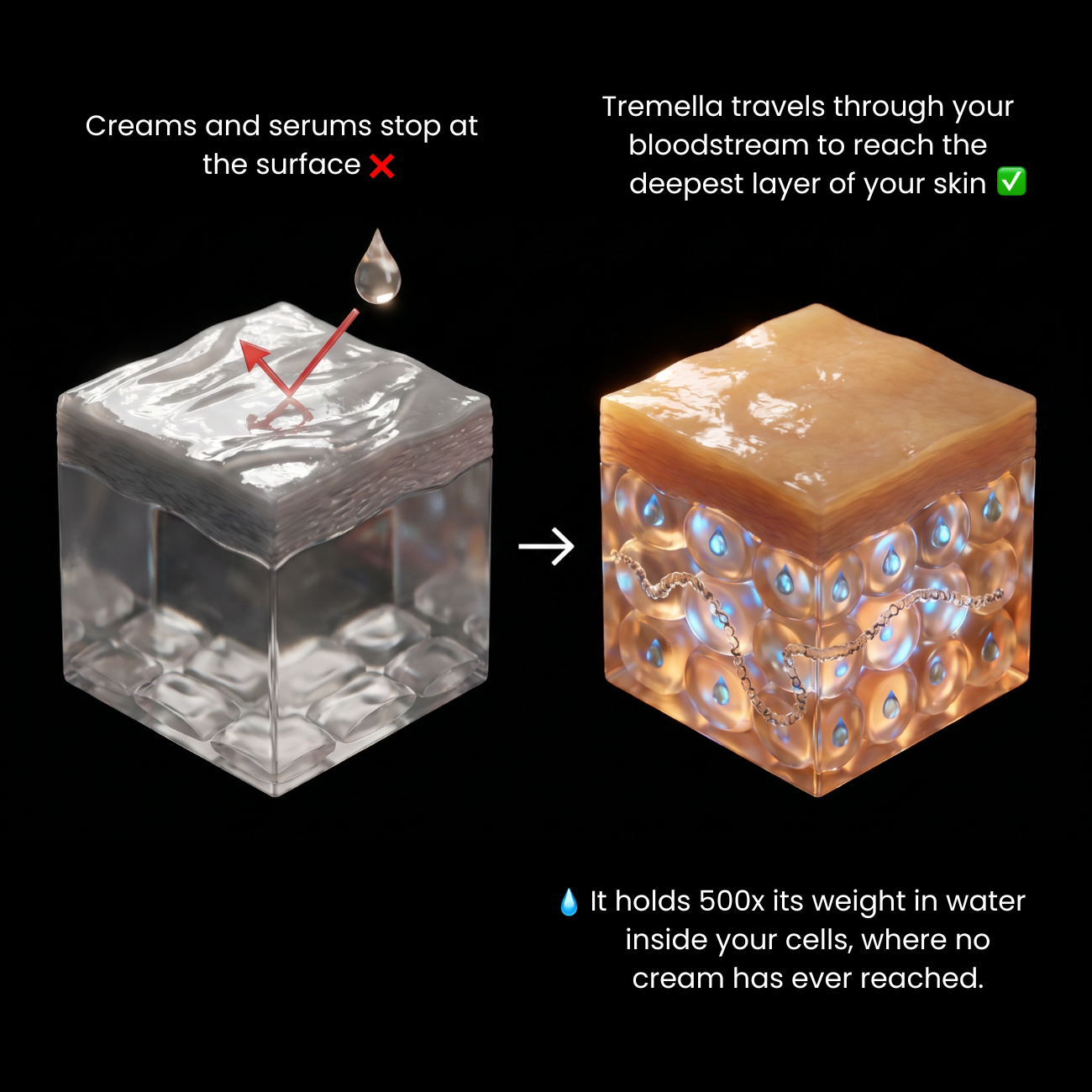 TREMELLA BEAUTY GUMMIES