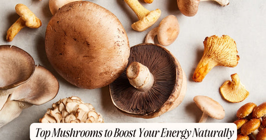 best mushrooms for energy