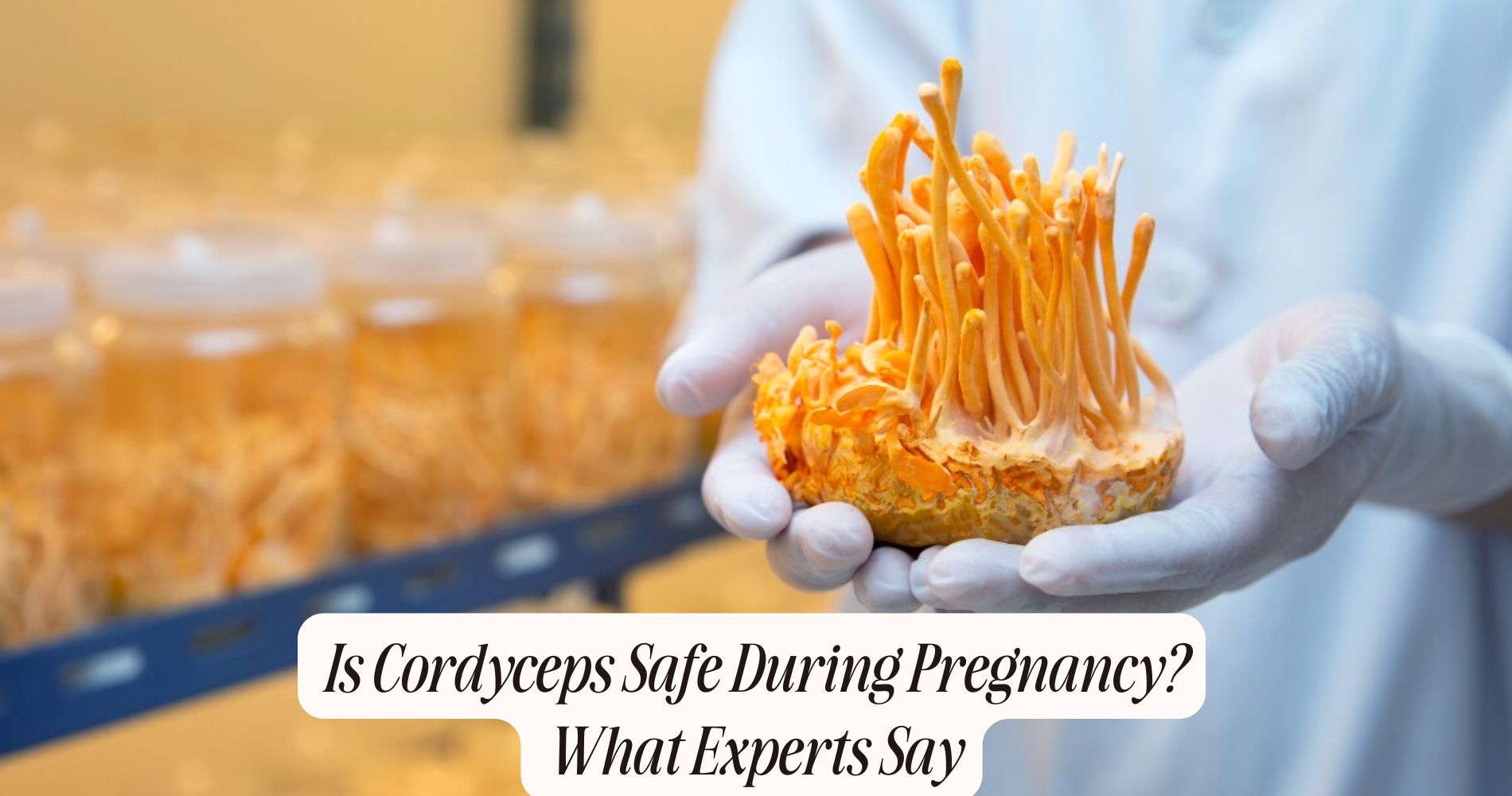 is cordyceps safe during pregnancy