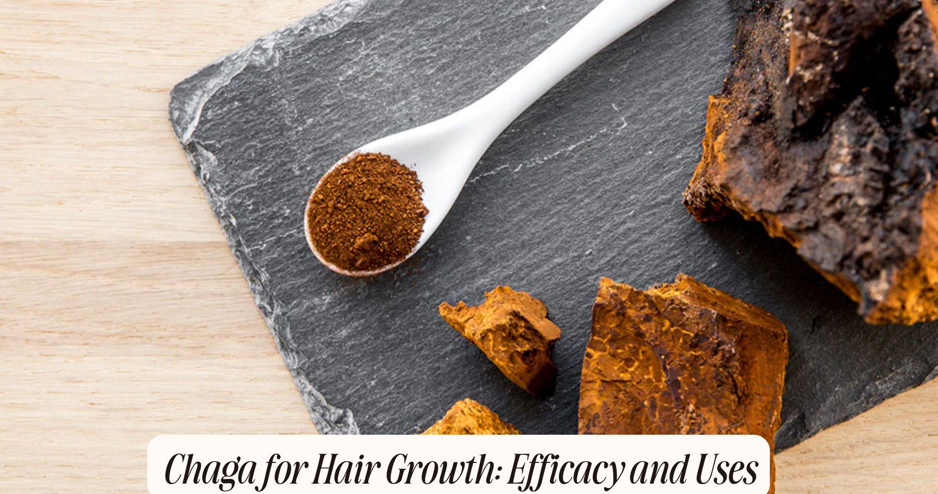 chaga for hair growth
