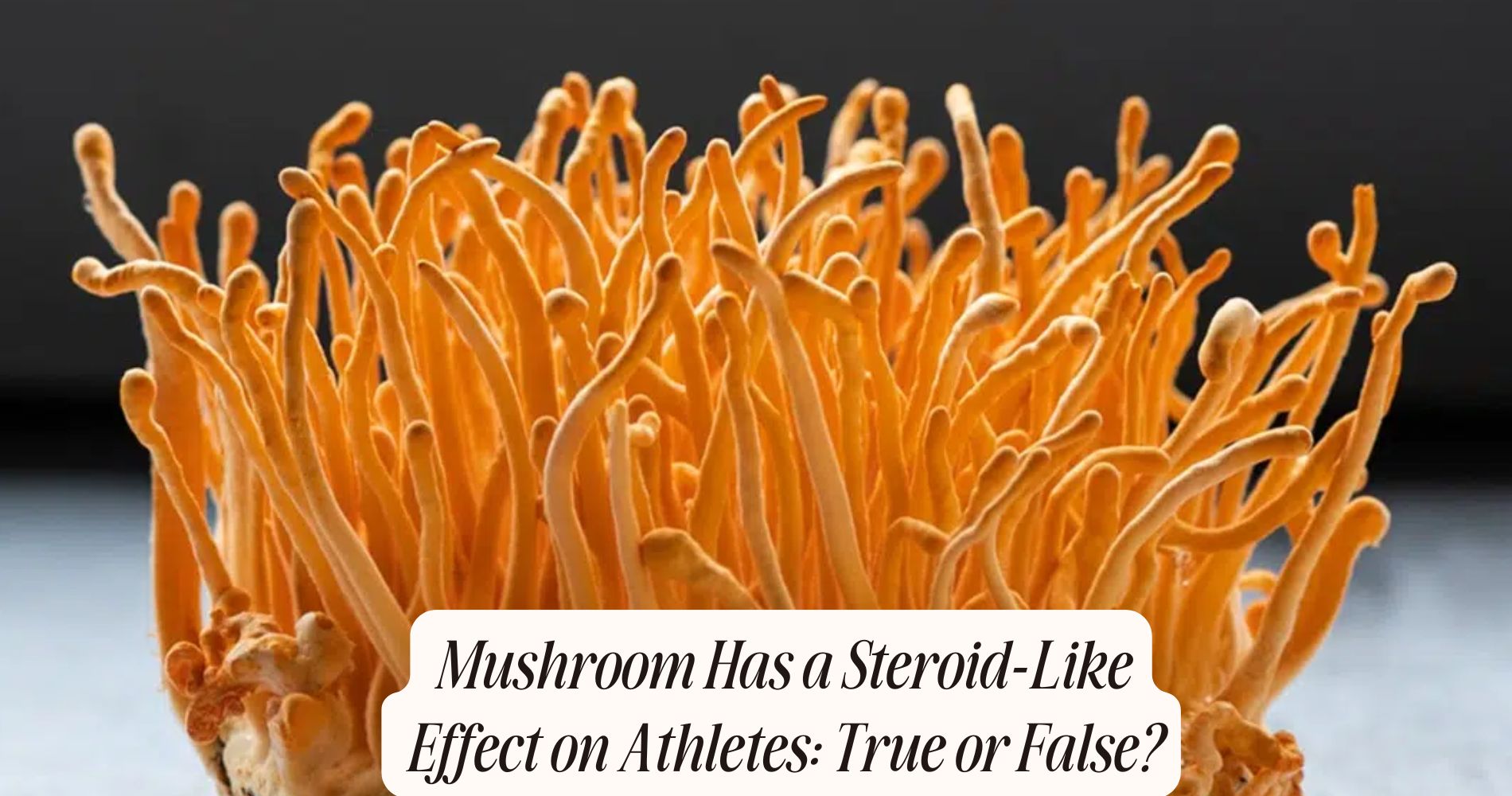 Mushroom Has a Steroid-Like Effect on Athletes