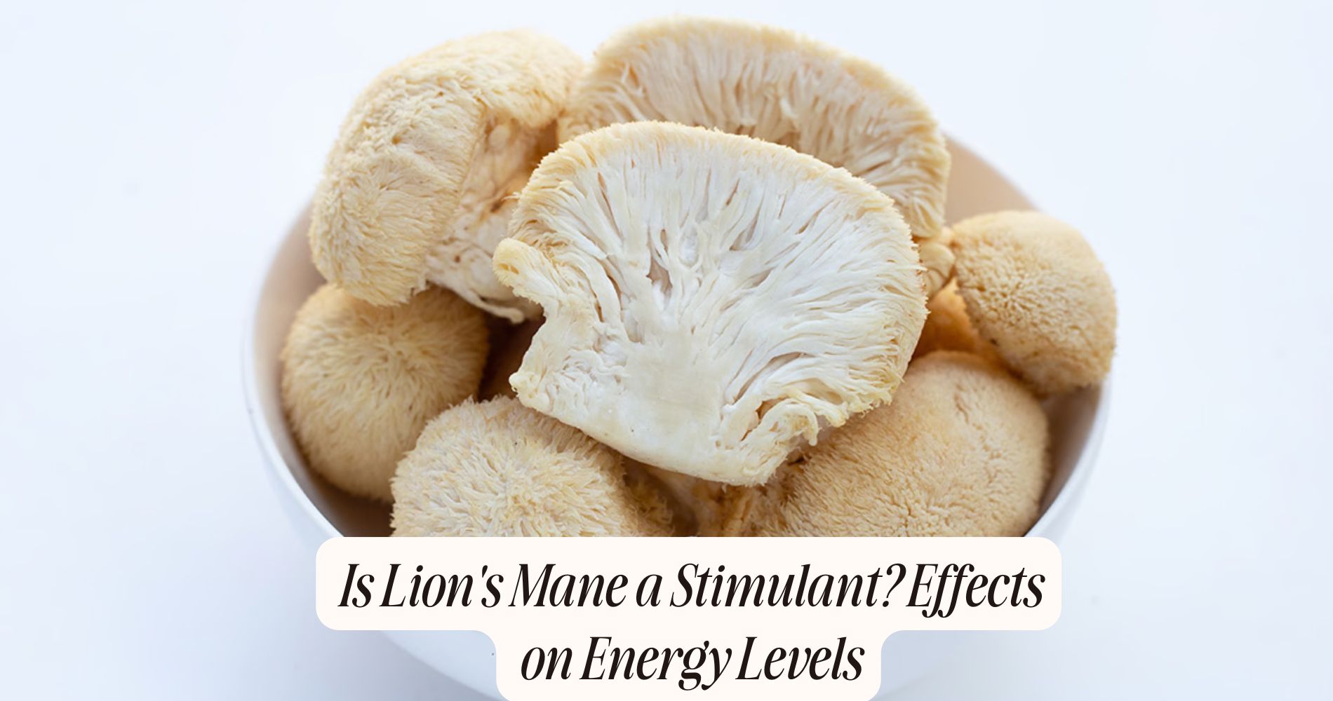 is lion's mane a stimulant
