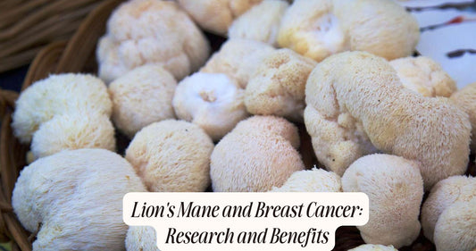 lion's mane breast cancer