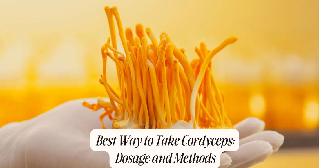 best way to take cordyceps