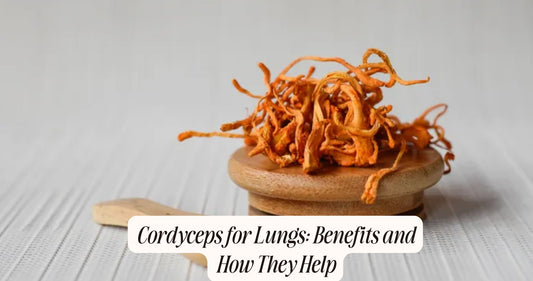 cordyceps for lungs