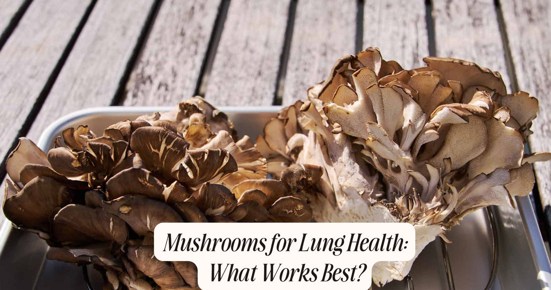 mushrooms for lung health