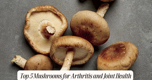 mushrooms for arthritis