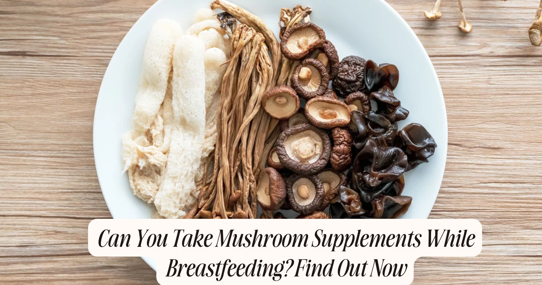 can you take mushroom supplements while breastfeeding