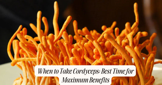 when to take cordyceps