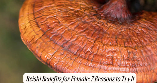 reishi benefits for female