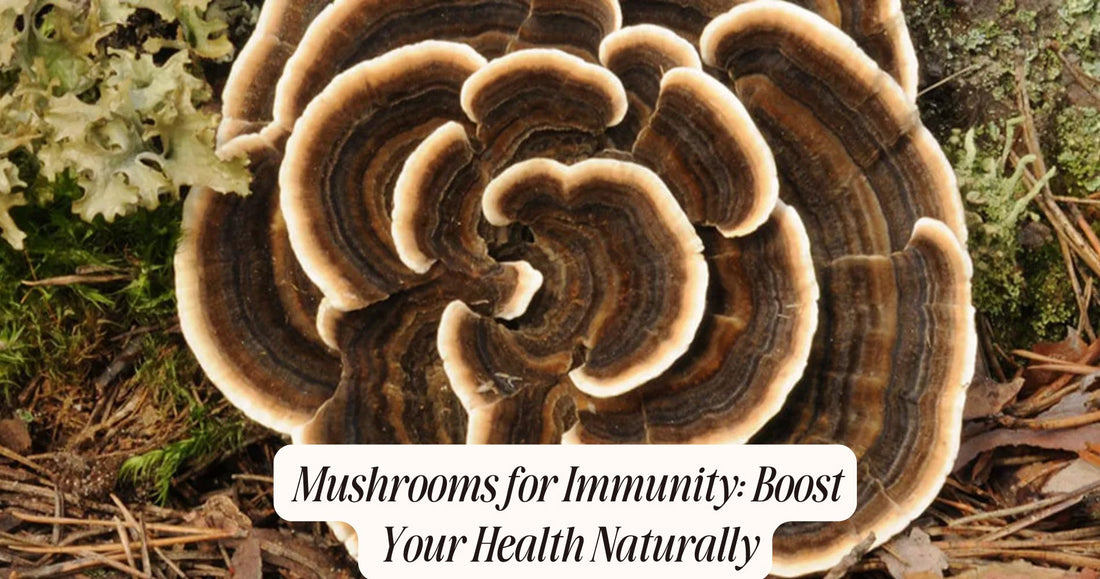 mushrooms for immunity