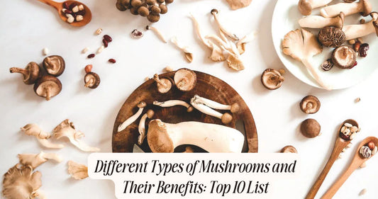 different types of mushrooms and their benefits