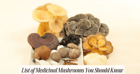 List of Medicinal Mushrooms