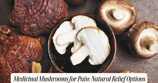 medicinal mushrooms for pain