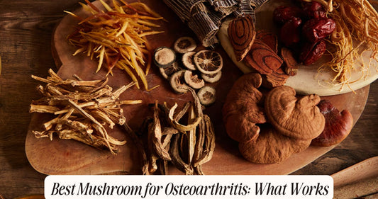 best mushroom for osteoarthritis