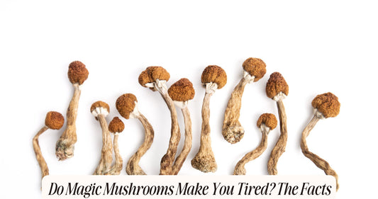 do magic mushrooms make you tired