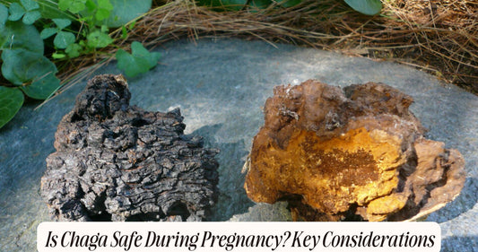 is chaga safe during pregnancy