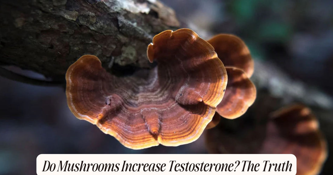 do mushrooms increase testosterone