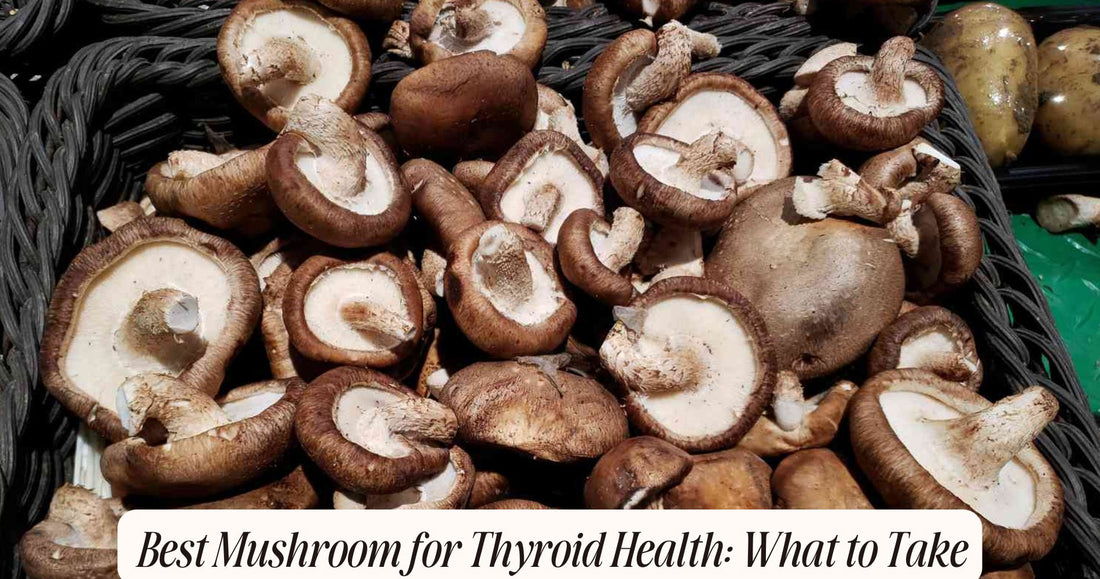 best mushroom for thyroid