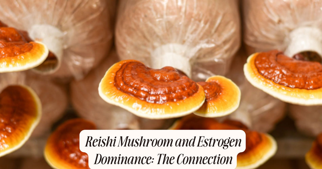 reishi mushroom estrogen dominance