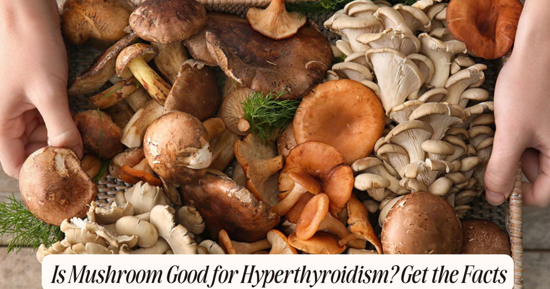 is mushroom good for hyperthyroidism