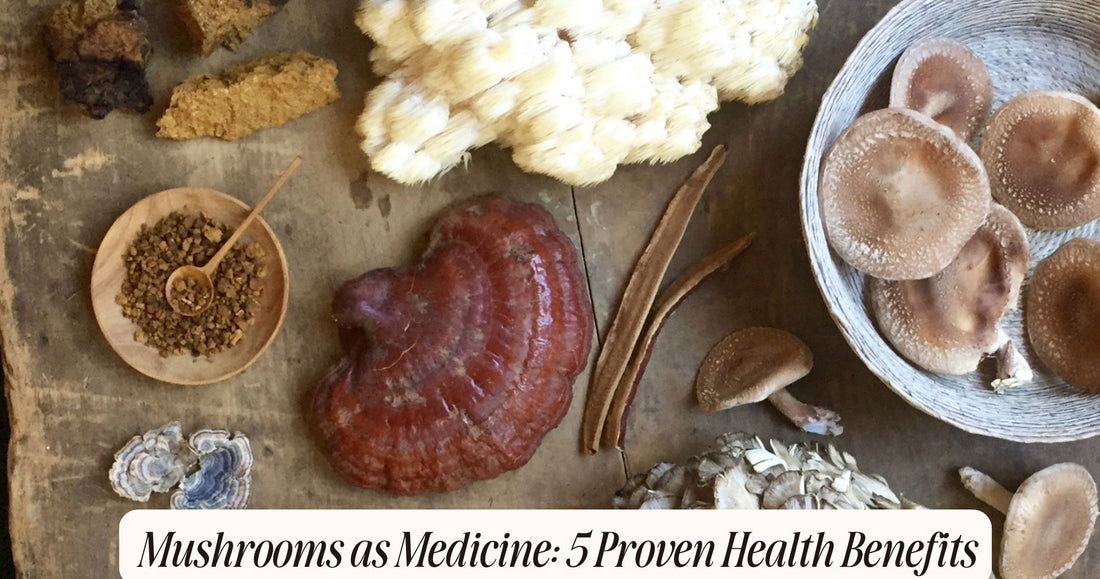 mushrooms as medicine