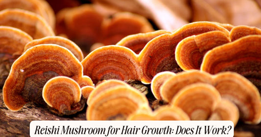 reishi mushroom for hair growth