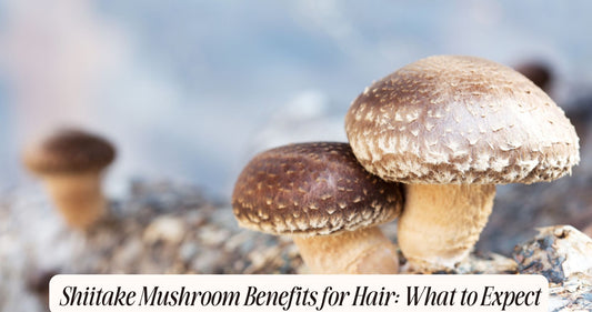 shiitake mushroom benefits for hair