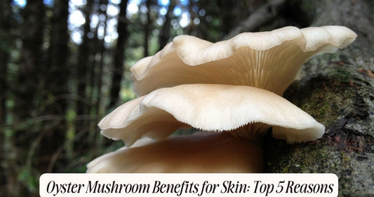 oyster mushroom benefits skin