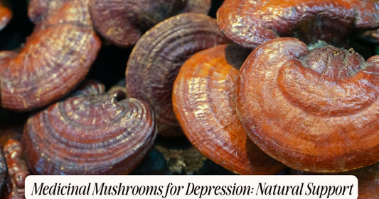 medicinal mushrooms for depression