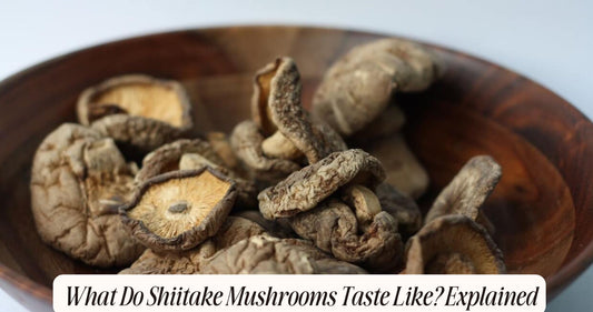 what do shiitake mushrooms taste like