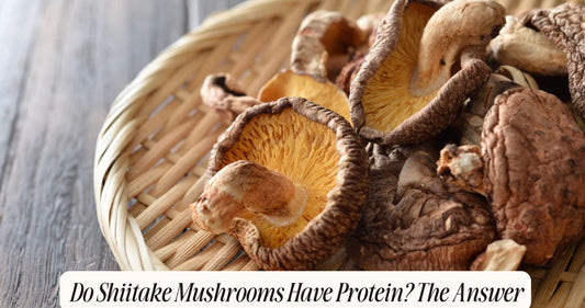 do shiitake mushrooms have protein