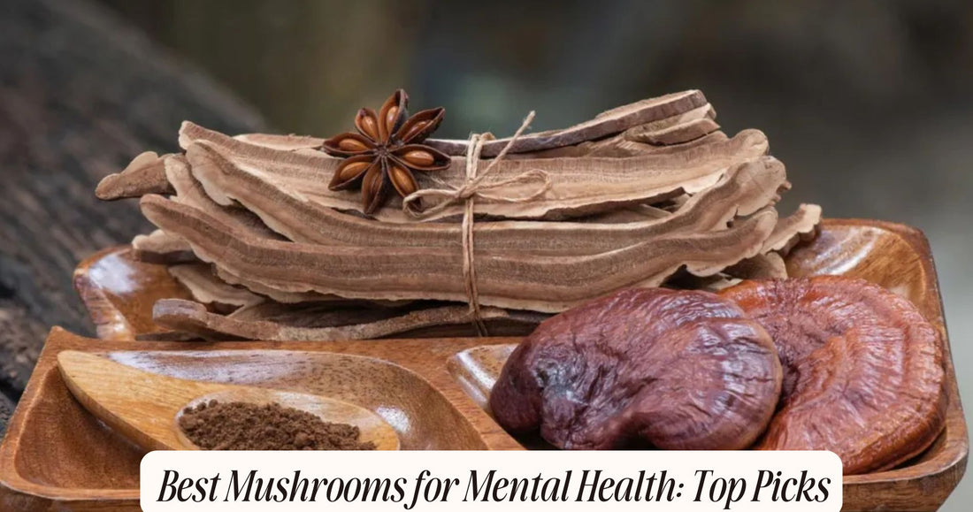 best mushrooms for mental health