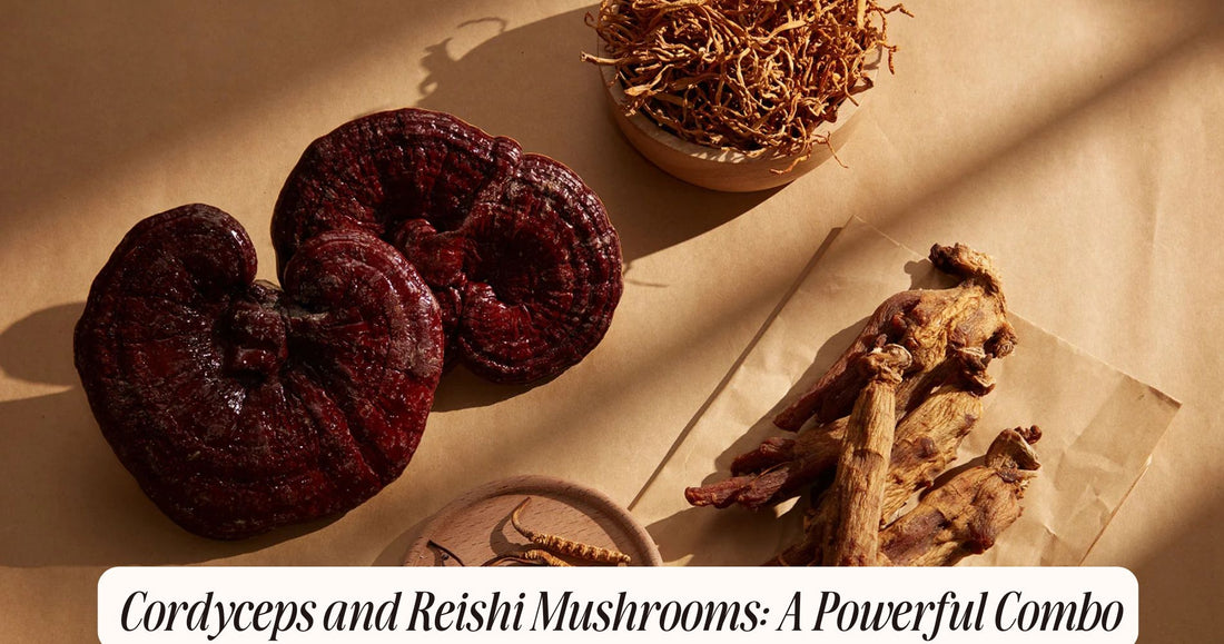 cordyceps and reishi mushrooms