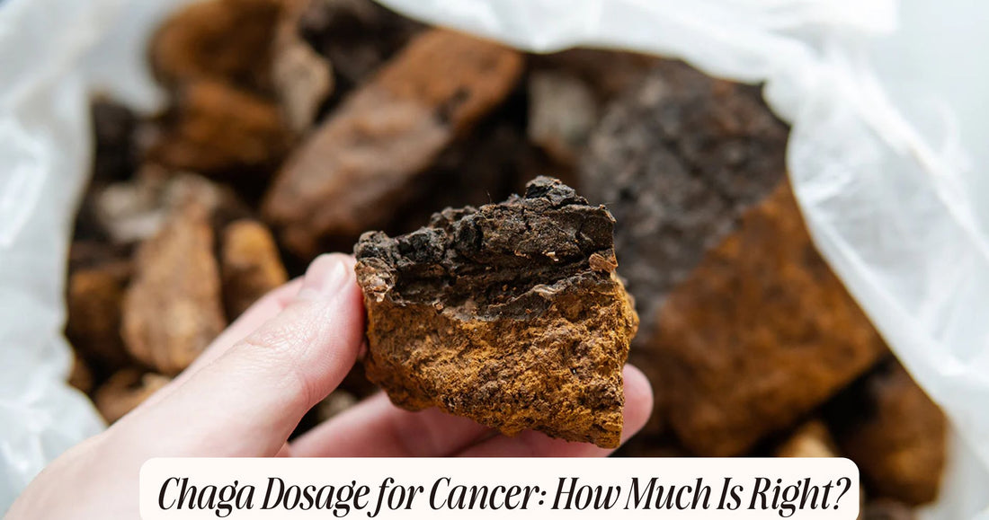 chaga dosage for cancer