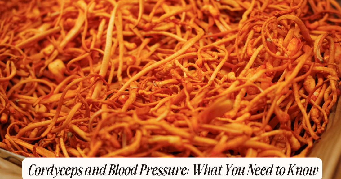 cordyceps and blood pressure