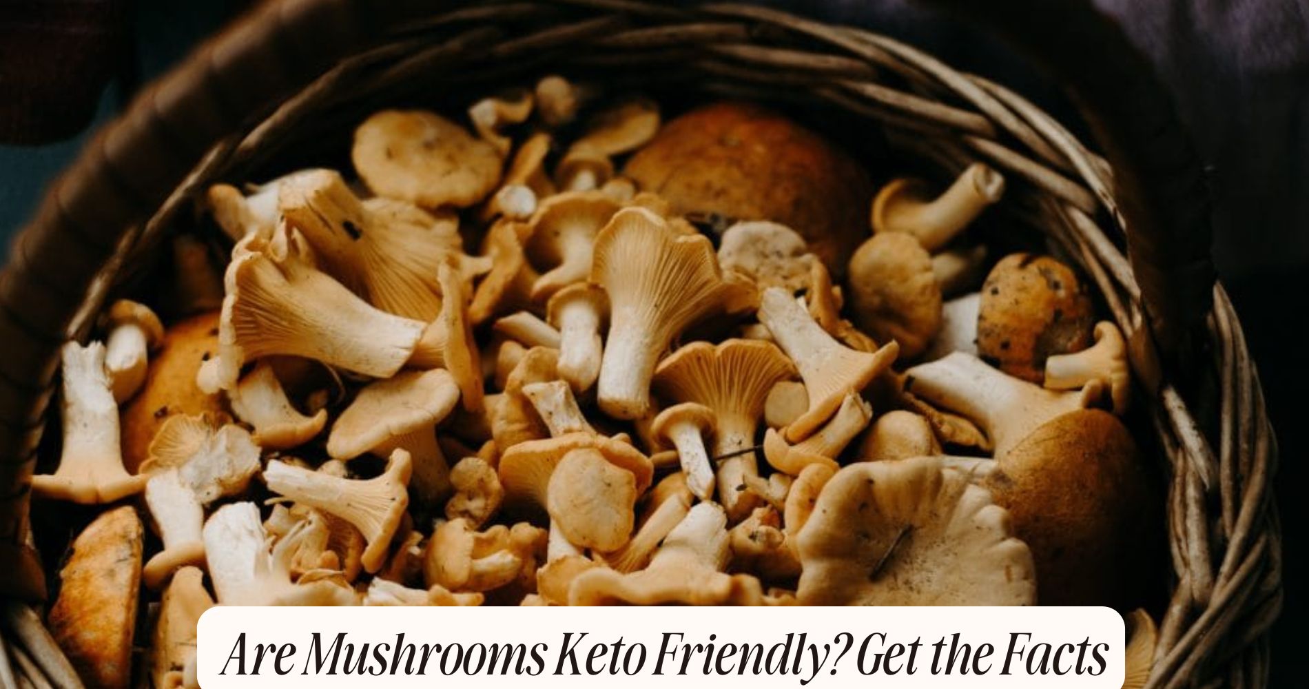 are mushrooms keto friendly