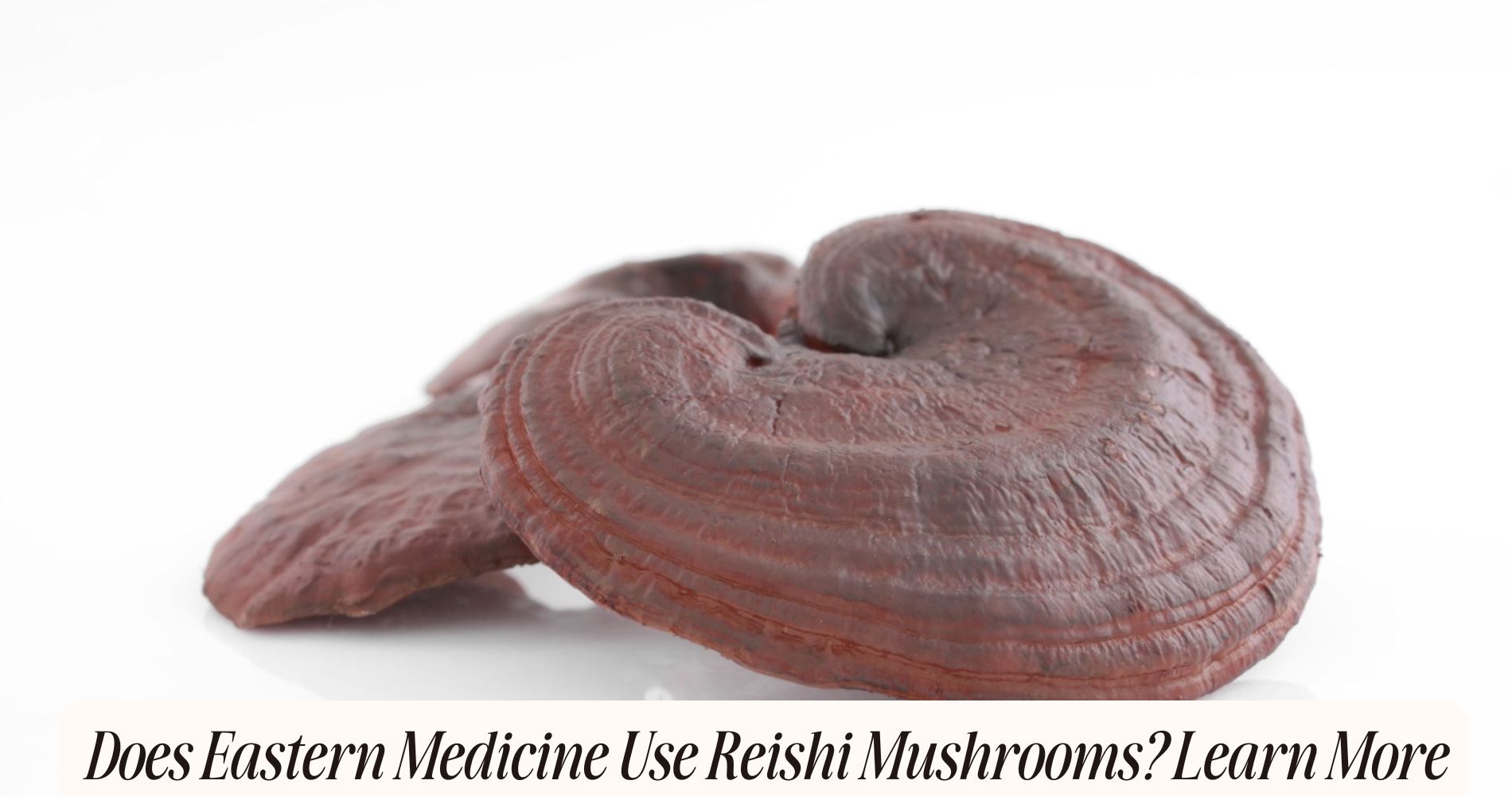 does eastern medicine used reishi mushrooms